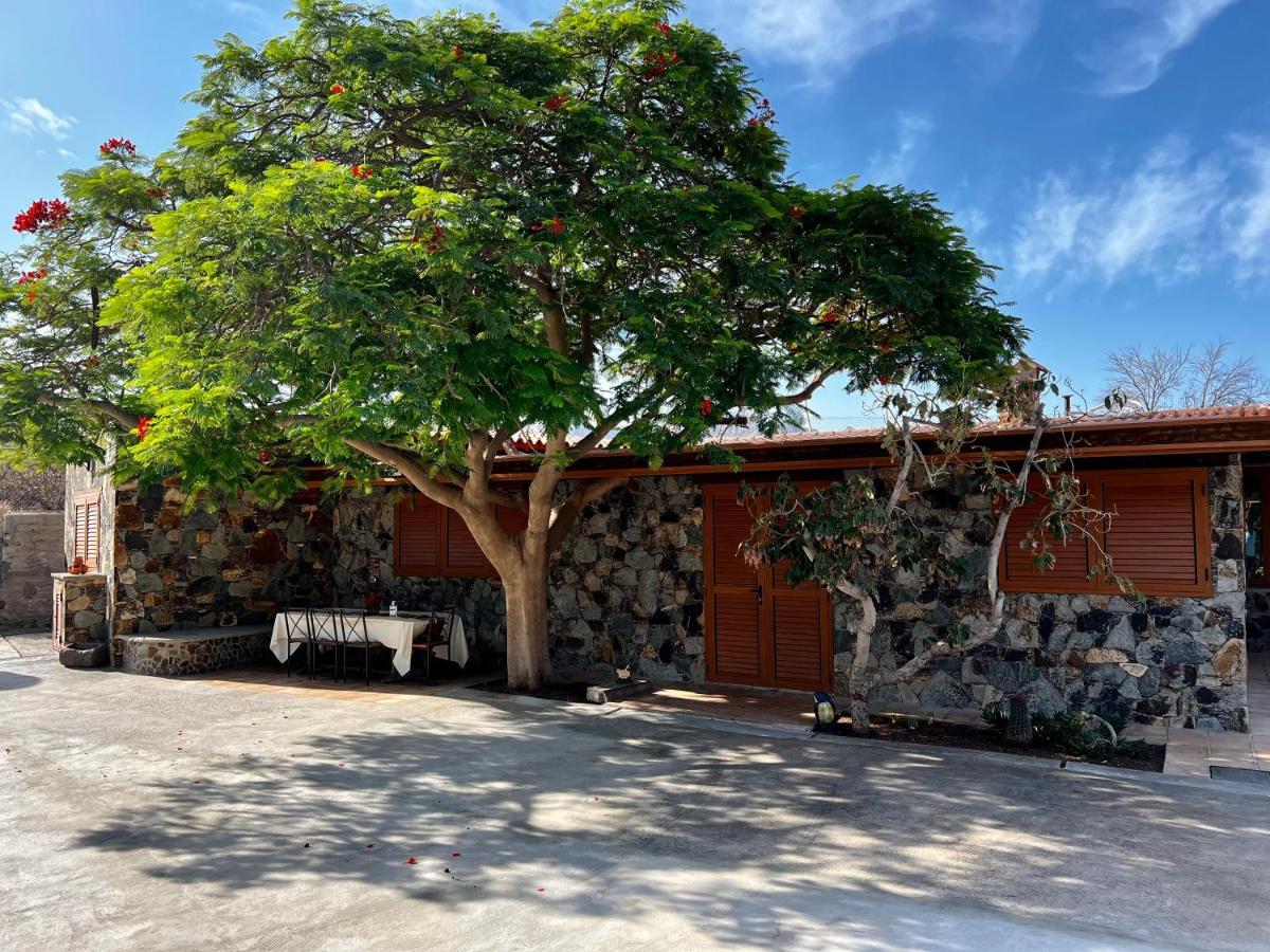Casa Rural La Limera Con Piscina Privada Santa Lucia De Tirajana Luaran gambar