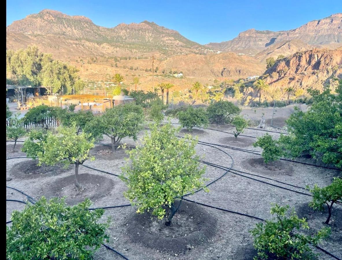 Casa Rural La Limera Con Piscina Privada Santa Lucia De Tirajana Luaran gambar